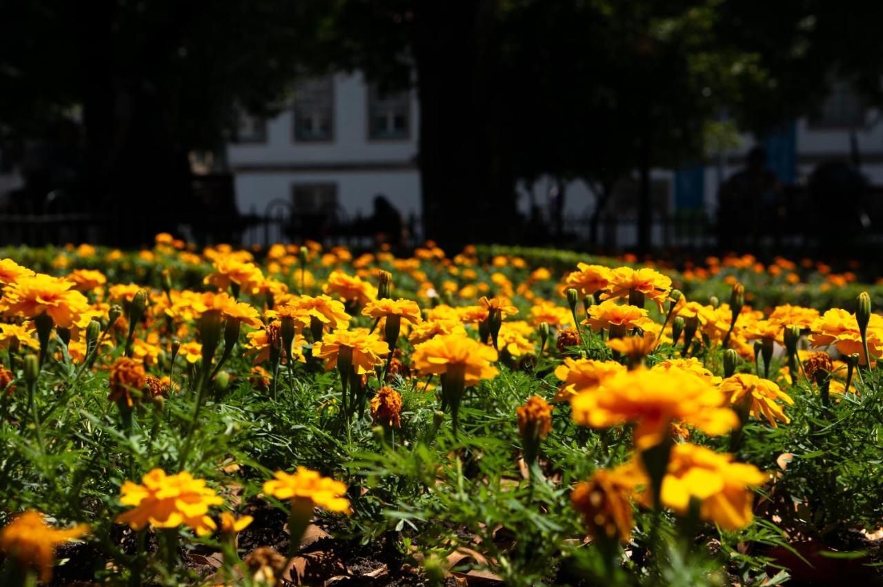 Jardim De Sao Lazaro - Porto Apartments Zewnętrze zdjęcie